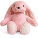 Плюшевая игрушка Зайка Милли 12 см Розовый RT-FWPBUNNY22LGPINK0 фото 1
