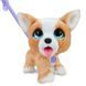 Интерактивная игрушка "Корги" серии "Poop-A-Lots" Furreal звуковые эффекты RT-28057 фото 1