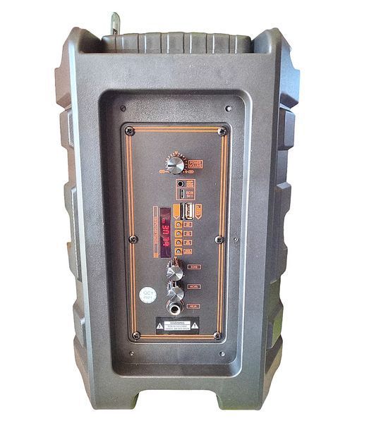Бездротова Bluetooth-колонка NDR P33 8 дюймів 15 Вт L712046 фото