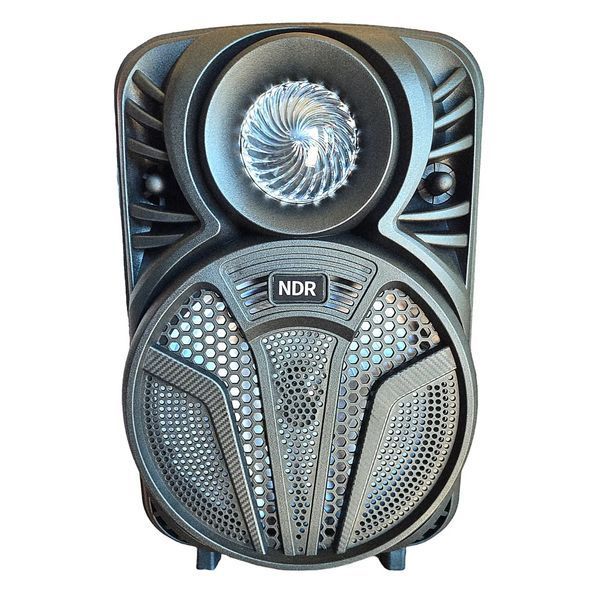 Бездротова Bluetooth-колонка NDR P33 8 дюймів 15 Вт L712046 фото