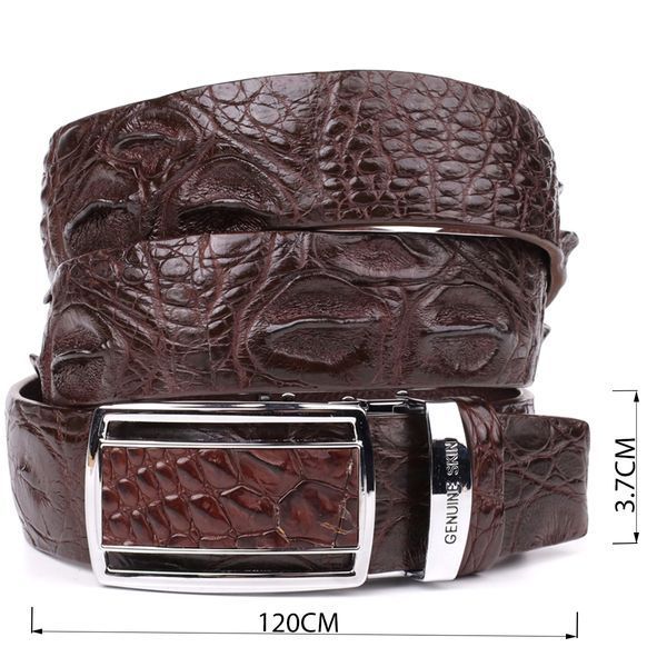 Ремень-автомат CROCODILE LEATHER 18240 из натуральной кожи крокодила Коричневый b18240 фото
