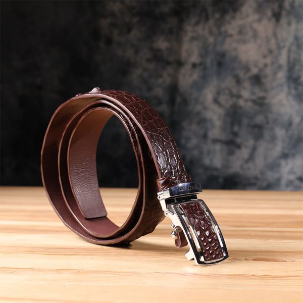 Ремень-автомат CROCODILE LEATHER 18240 из натуральной кожи крокодила Коричневый b18240 фото