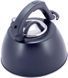 Чайник Kamille Whistling Kettle Thermo 3л из нержавеющей стали со свистком и термометром, черный KM-1077A фото 4