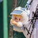 Коллекционная мягкая игрушка на подвесе "Радости приключений" POP TOP серии "Q.Kid" RT-JO-2025037 фото 4