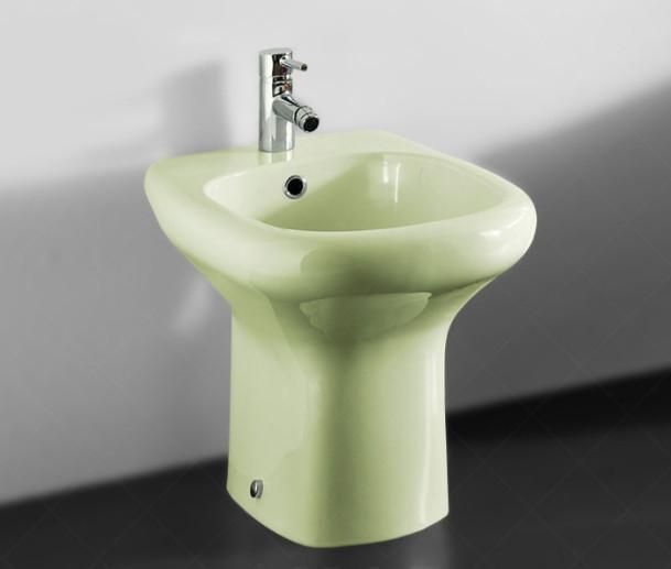 Биде напольное RAK Ceramics Compact (RAK0001) Зеленый L03010 фото