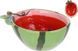 Салатник керамический "Bright Fruits Watermelon" 250мл, Арбуз BD-304-011 фото 2