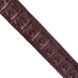 Ремень-автомат мужской CROCODILE LEATHER 18171 из натуральной кожи крокодила Коричневый b18171 фото 9