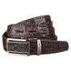 Ремень-автомат мужской CROCODILE LEATHER 18171 из натуральной кожи крокодила Коричневый b18171 фото 1