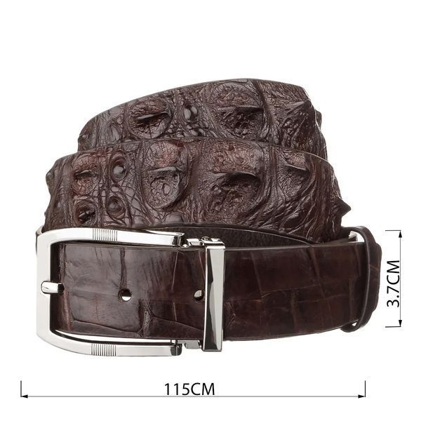 Ремінь чоловічий CROCODILE LEATHER 18178 з натуральної шкіри крокодила Коричневий b18178 фото
