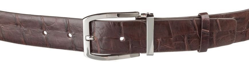Ремінь чоловічий CROCODILE LEATHER 18178 з натуральної шкіри крокодила Коричневий b18178 фото