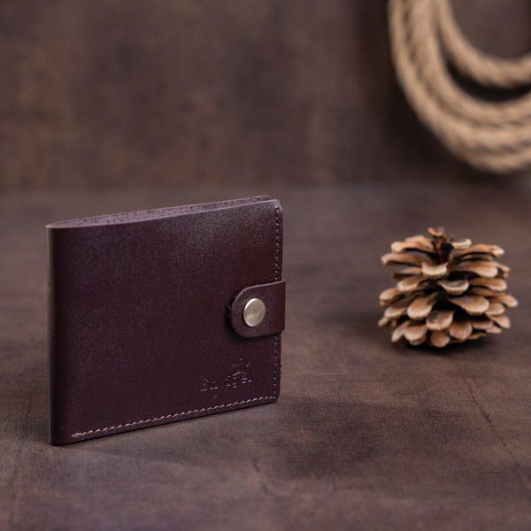 Портмоне мужское с монетницей кожаное SHVIGEL 16213 Коричневое b16213 фото