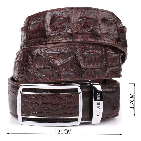 Ремень-автомат CROCODILE LEATHER 18235 из натуральной кожи крокодила (каймана) Коричневый b18235 фото