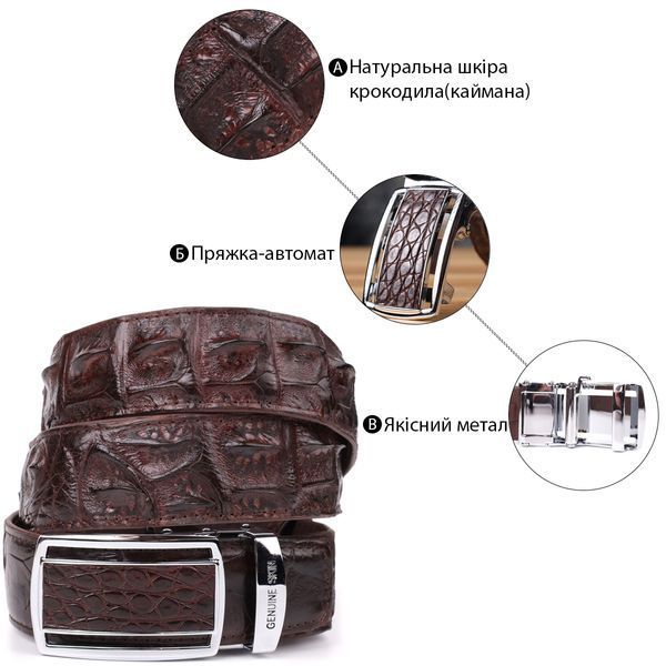 Ремень-автомат CROCODILE LEATHER 18235 из натуральной кожи крокодила (каймана) Коричневый b18235 фото