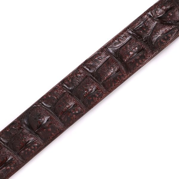 Ремень-автомат CROCODILE LEATHER 18235 из натуральной кожи крокодила (каймана) Коричневый b18235 фото