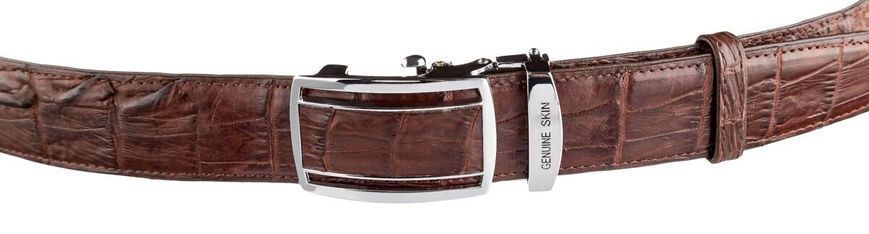 Ремень-автомат CROCODILE LEATHER 18235 из натуральной кожи крокодила (каймана) Коричневый b18235 фото