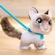 Интерактивная игрушка "Котенок" Furreal серии "Wag-A-Lots" RT-28059 фото 7