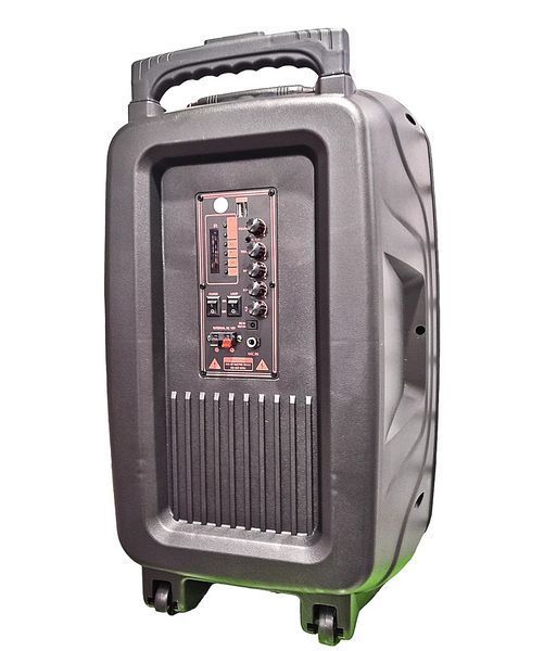 Портативная беспроводная Bluetooth колонка NDR-W1315 с подсветкой и микрофоном L712049 фото