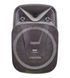 Портативная беспроводная Bluetooth колонка NDR-W1315 с подсветкой и микрофоном L712049 фото 2