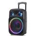 Портативная беспроводная Bluetooth колонка NDR-W1315 с подсветкой и микрофоном L712049 фото 1