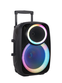 Професійна Bluetooth колонка NDR-A55 15-дюймова з бездротовим мікрофоном L712051 фото