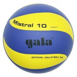 Мяч волейбольный тренировочный Mistral 10 Gala № 5 RT-NE-GALA-M10 фото