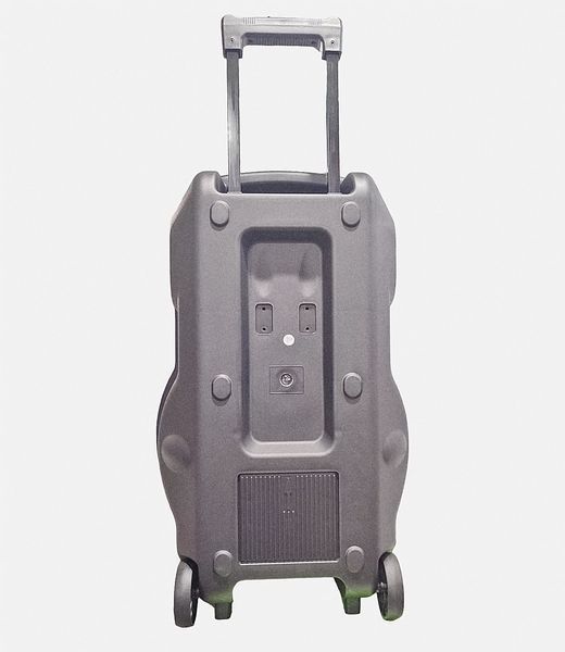 Бездротова вулична Bluetooth колонка NDR-V15 1500Вт (динамік 40 Вт) 15 дюймів L712061 фото