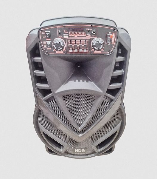 Бездротова вулична Bluetooth колонка NDR-V15 1500Вт (динамік 40 Вт) 15 дюймів L712061 фото